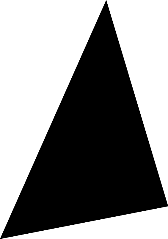 Polygon