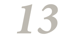13
