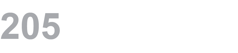 205 ﻿ 