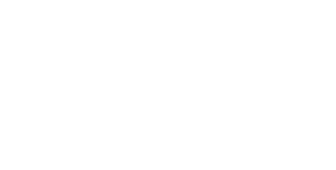 February 15 1981
