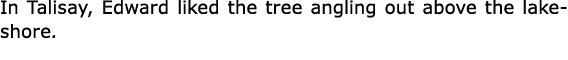 In ﻿Talisay, Edward liked the tree angling out above the lakeshore.