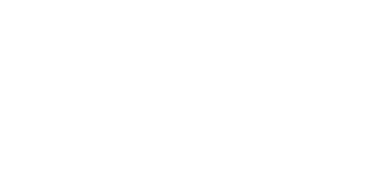 May 11 1981