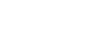 June 8 1981