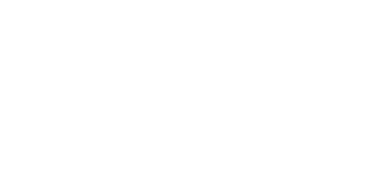 May 8 1981