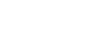 May 17 1981