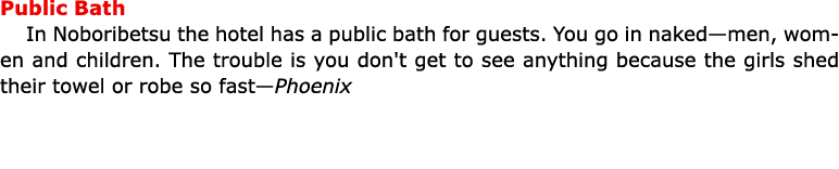 Public Bath In ﻿Noboribetsu the hotel has a public bath for guests. You go in naked—men, women and children. The trou...