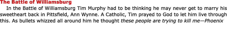 The Battle of ﻿Williamsburg In the Battle of ﻿Williamsburg Tim Murphy had to be thinking he may never get to marry hi...