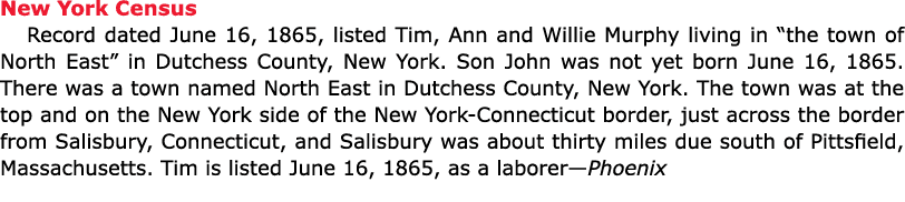 New York Census Record dated June 16, 1865, listed Tim, Ann and Willie Murphy living in “the town of North East” in ﻿...