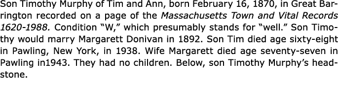 Son ﻿Timothy Murphy of Tim and Ann, born February 16, 1870, in ﻿Great Barrington recorded on a page of the ﻿Massachus...