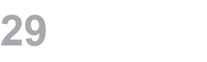 29 ﻿ 