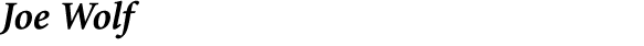 ﻿Joe Wolf