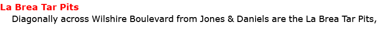 La Brea Tar Pits Diagonally across Wilshire Boulevard from ﻿Jones & Daniels are the La Brea Tar Pits,