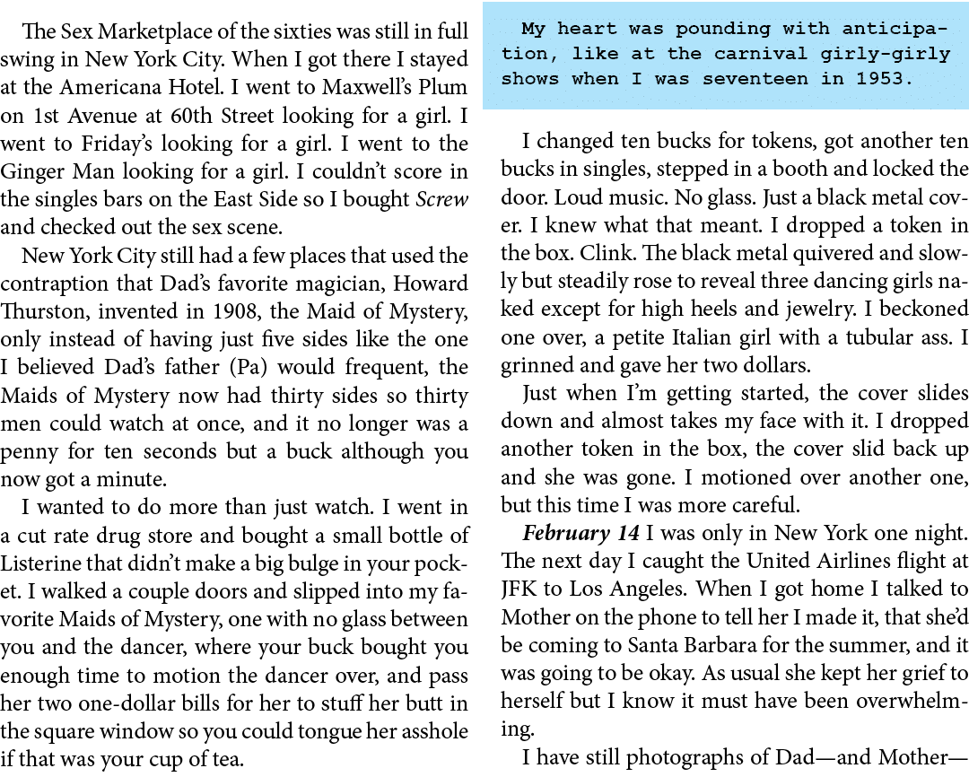The Sex Marketplace of the sixties was still in full swing in New York City. When I got there I stayed at the ﻿Americ...