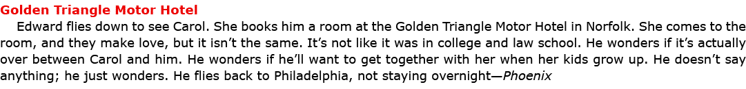 Golden Triangle Motor Hotel Edward flies down to see Carol. She books him a room at the Golden Triangle Motor Hotel ...