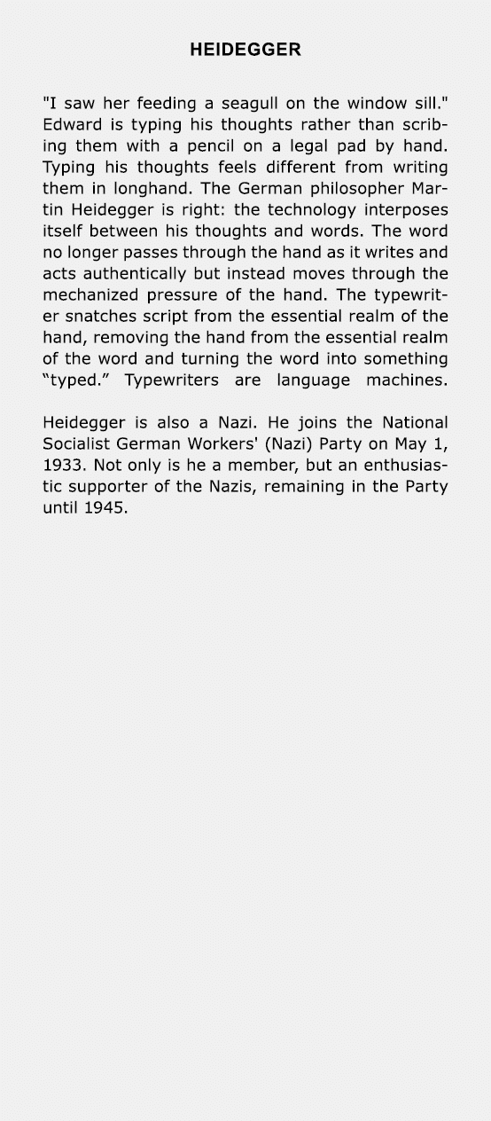 Heidegger \“I saw her feeding a seagull on the window sill.\" Edward is typing his thoughts rather than scribing them...