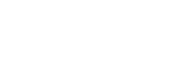 November 19 2009