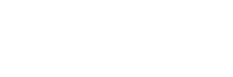 2009