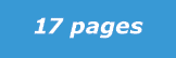17 pages