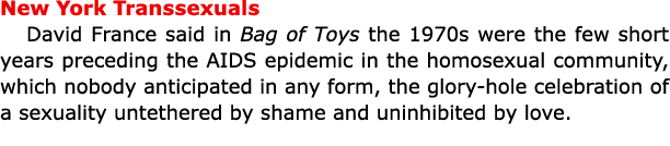 New York Transsexuals David France said in Bag of Toys the 1970s were the few short years preceding the AIDS epidemic...