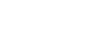 December 19 1979