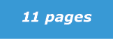11 pages