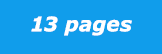 13 pages