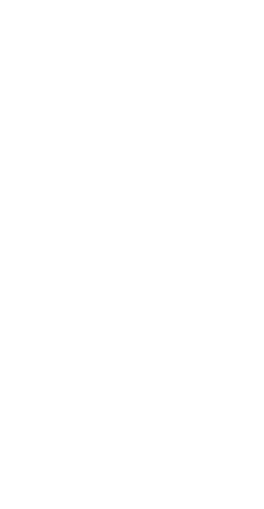 At the end of the twentieth century the size of the Irish diaspora was about 70 million. There were a million Murphys...