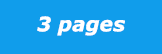 3 pages