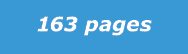 163 pages