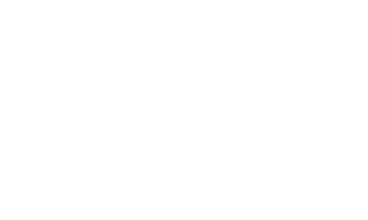 July 11 1979