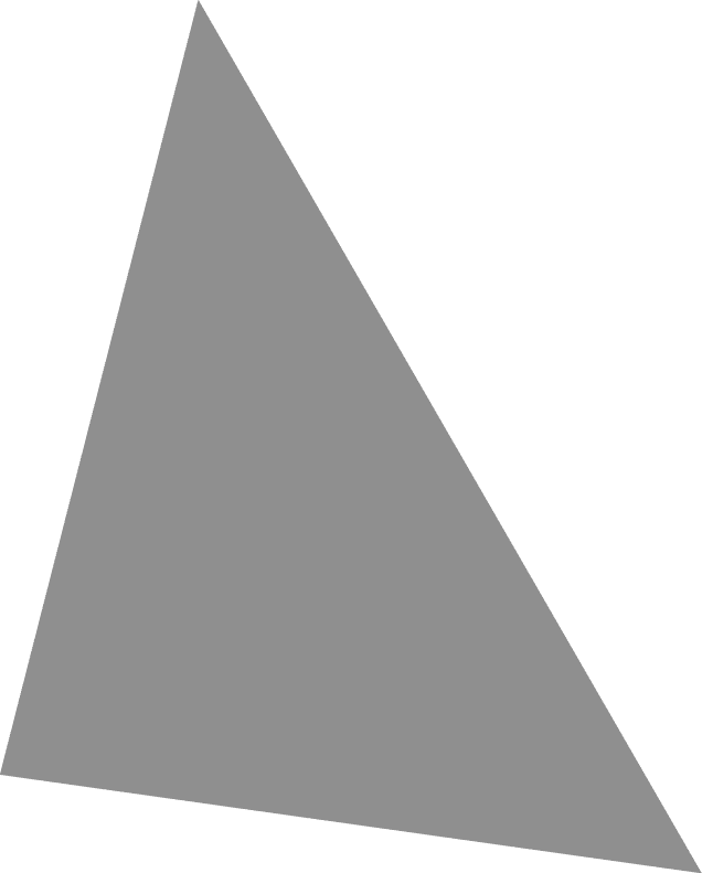 Polygon