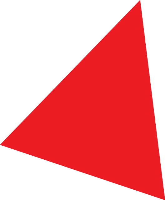 Polygon