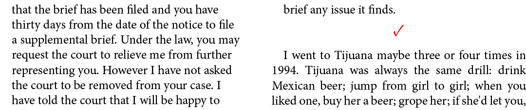 that the brief has been filed and you have thirty days from the date of the notice to file a supplemental brief. Unde...