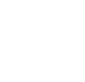 iGINA™ brings virtual reality to law enforcement and lawyers. Graphical representation of information and data makes ...