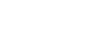 November 24 1994