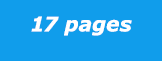 17 pages