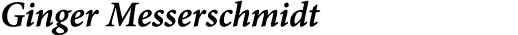 Ginger Messerschmidt