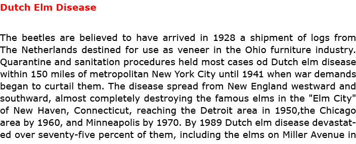 Dutch Elm Disease The beetles are believed to have arrived in 1928 a shipment of logs from The Netherlands destined f...