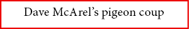 Dave McArel’s pigeon coup