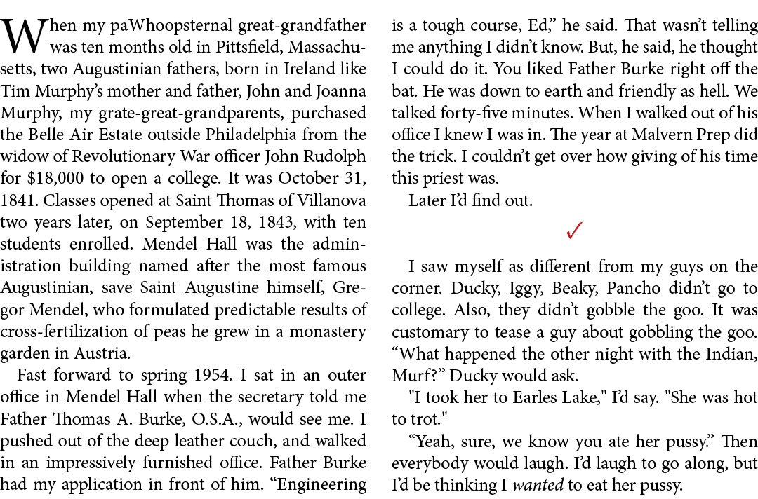 When my paWhoopsternal great-grandfather was ten months old in ﻿Pittsfield, Massachusetts, two Augustinian fathers, ...