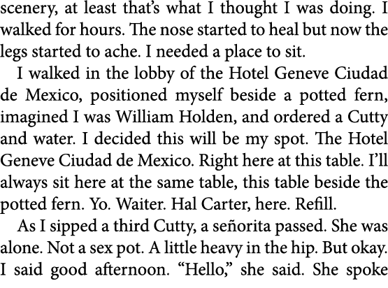 scenery, at least that’s what I thought I was doing. I walked for hours. The nose started to heal but now the legs st...