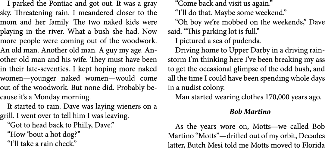 I parked the Pontiac and got out. It was a gray sky. Threatening rain. I meandered closer to the mom and her family. ...