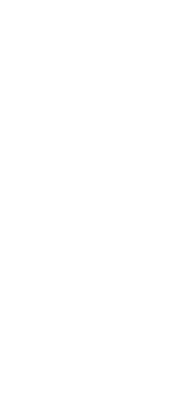 Investigator M-443 A report written by Edward as ﻿﻿William J. Burns International Detective Agency ﻿Philadelphia Inve...