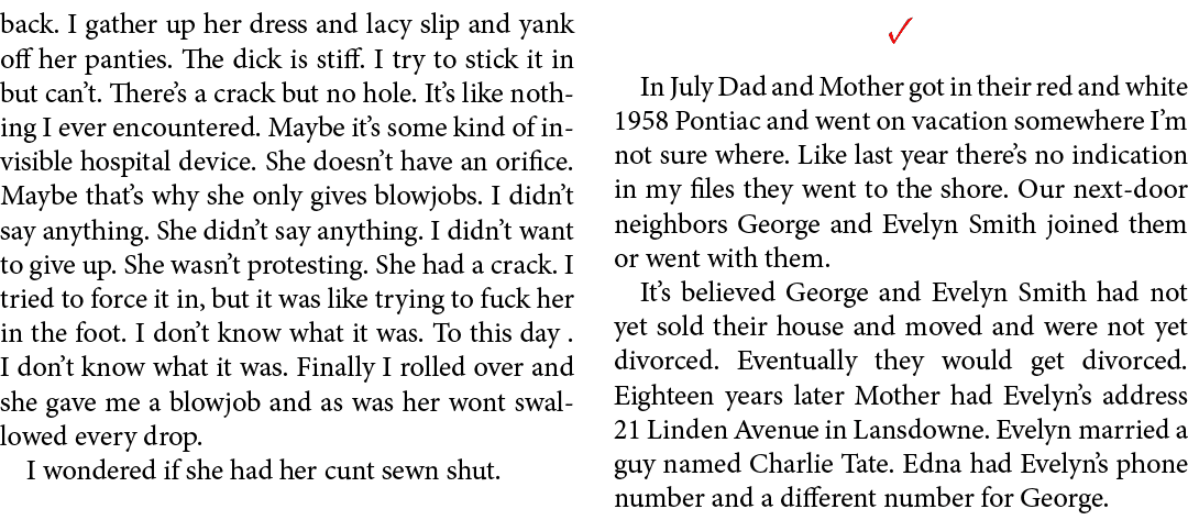 back. I gather up her dress and lacy slip and yank off her panties. The dick is stiff. I try to stick it in but can’t...