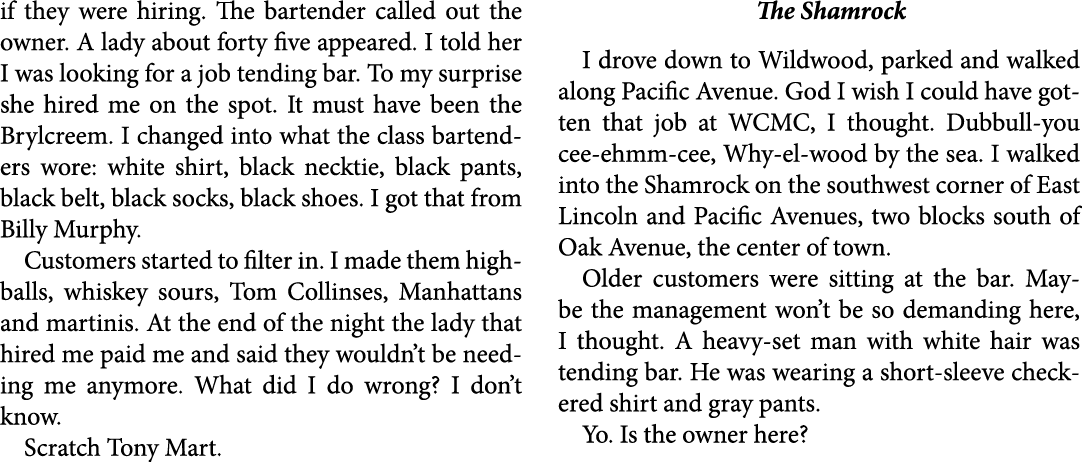 if they were hiring. The bartender called out the owner. A lady about forty five appeared. I told her I was looking f...