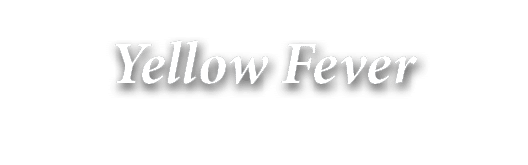 Yellow Fever