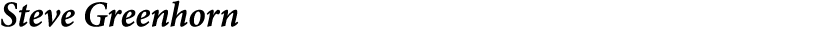 Steve Greenhorn