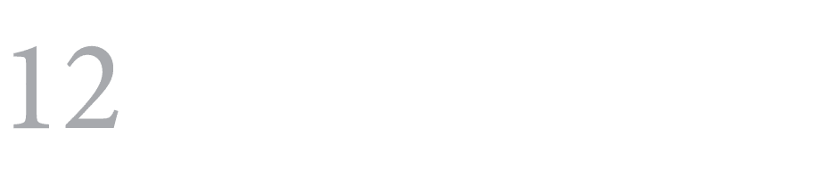 12 ﻿ 