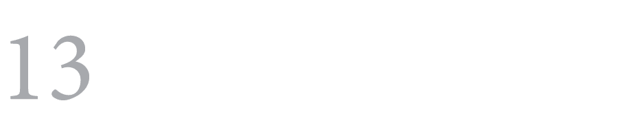 13 ﻿ 