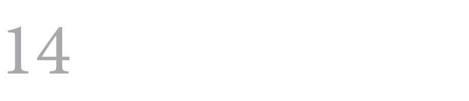 14 ﻿ 